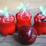 Plastic Bottle Apples