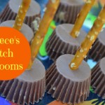 reecesbroom3