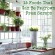 15 Foods That Can Be Regrown from Scraps