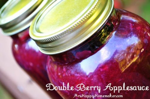 Double Berry Applesauce (with strawberries and blueberries)