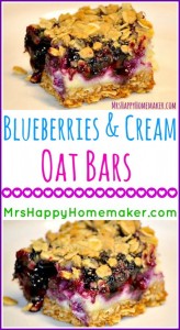 Blueberries & Cream Oat Bars