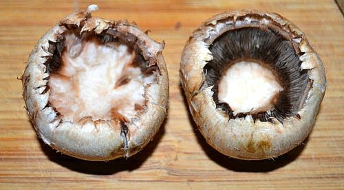 hollowed out mushrooms for bacon cheddar stuffed mushrooms