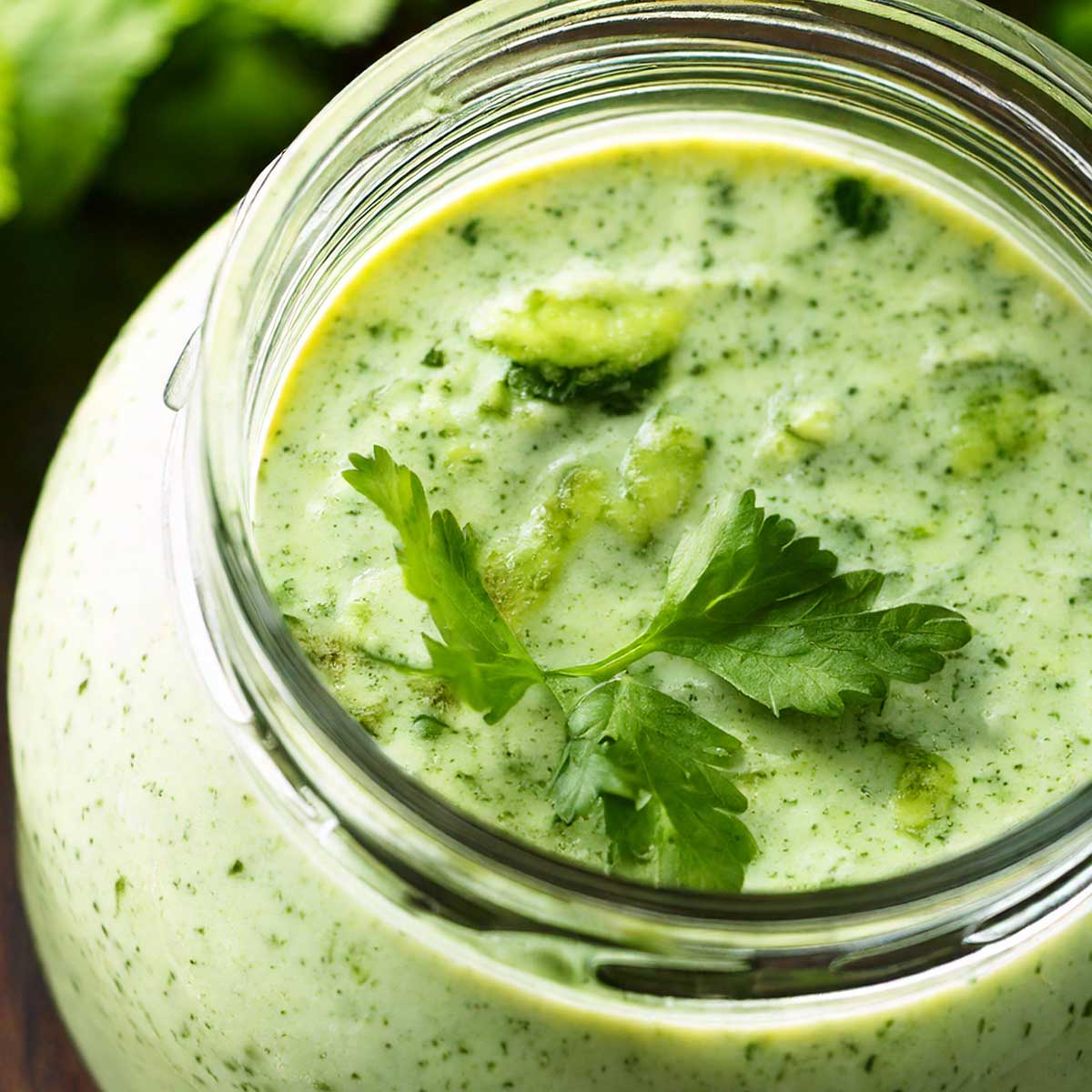 Cilantro Cream Sauce Cilantro Cream Sauce