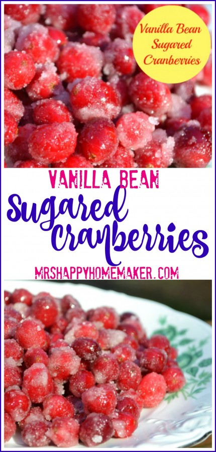 Vanilla Bean Sugared Cranberries - I can sit down in front of the TV & snack on these like candy. I just love them! Bonus points: you only need 3 ingredients plus water to make them! | MrsHappyHomemaker.com @thathousewife