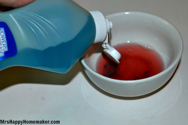 Best Remedy for Eliminating Fruit Flies