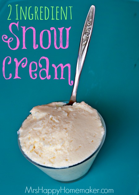 2 Ingredient Snow Cream