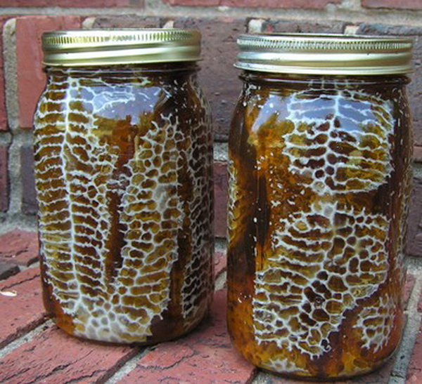 DIY Beehive in a Jar