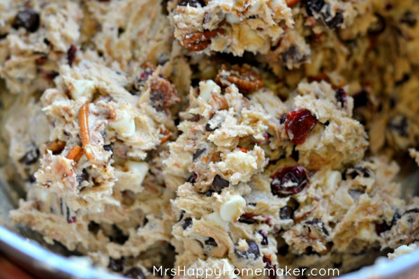 Cranberry Double Chocolate Chip Cookie dough