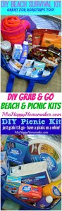 DIY Grab & Go Beach & Picnic Kits