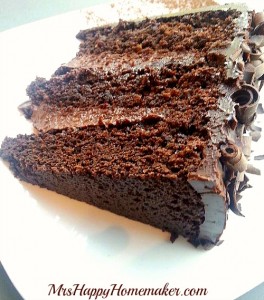 French broad chocolate cake Asheville