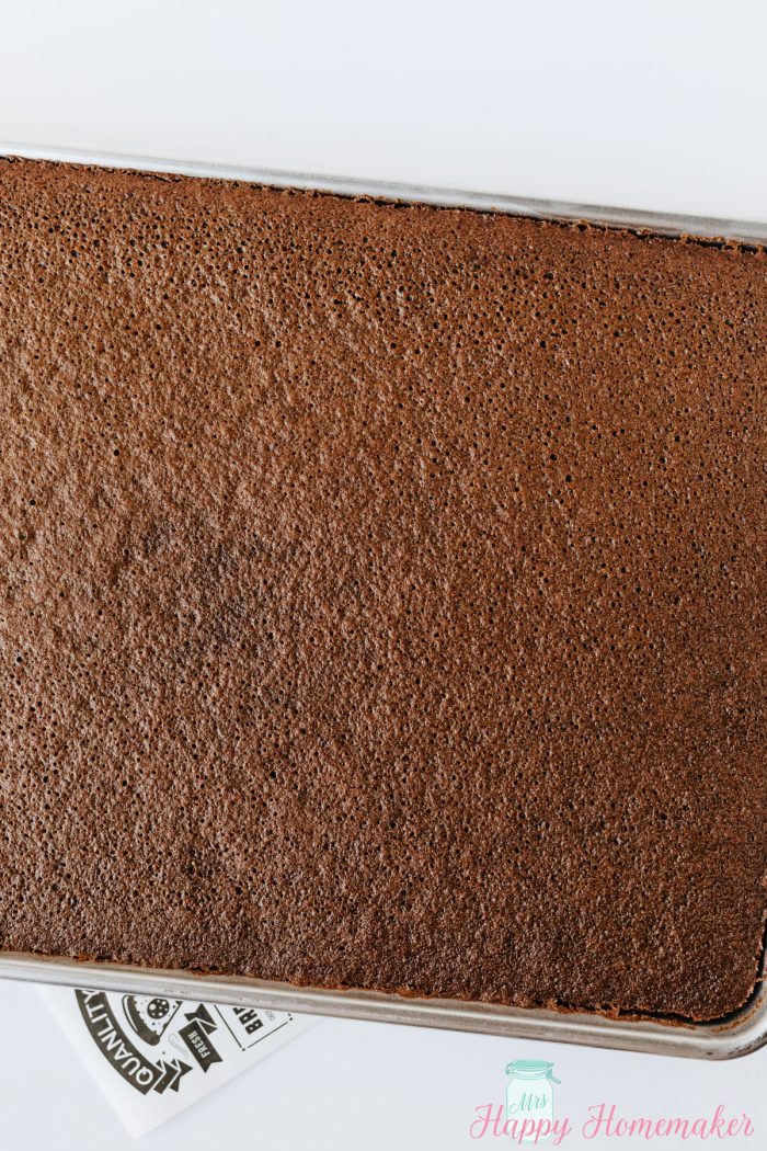 Chocolate Sheet Cake