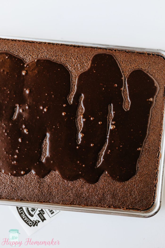 Chocolate Sheet Cake