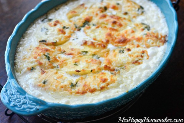 The cheesiest of cheesy pastas... these jumbo shells are stuffed with cheese, covered with my 'Better than Olive Garden' Alfredo sauce, & baked off into one of the best things ever. Cheese Lover's Stuffed Shells for the win! | MrsHappyHomemaker.com @thathousewife