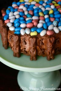 Chocolate Bunny Easter Cake - so easy & cute!! | MrsHappyHomemaker.com @mrshappyhomemaker