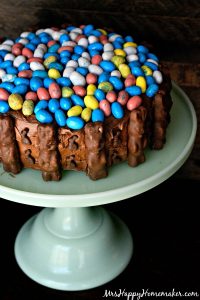 Chocolate Bunny Easter Cake - so easy & cute!! | MrsHappyHomemaker.com @mrshappyhomemaker
