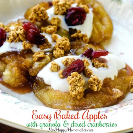 Baked Apples with yogurt, granola, & dried cranberries
