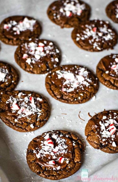 Chocolate Peppermint Cookies | MrsHappyHomemaker.com