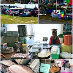 Peaches to Beaches Georgia's Longest Yard Sale collage