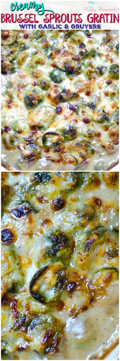 Brussels sprouts Gratin with creamy garlic gruyere cheese sauce