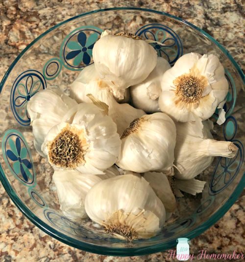 a bowl of garlic heads