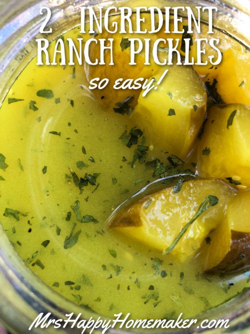 2 Ingredient Ranch Pickles