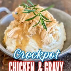 Crockpot chicken and gravy