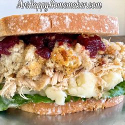 Thanksgiving Sandwich - turkey, dressing, cranberry sauce, gravy on white bread