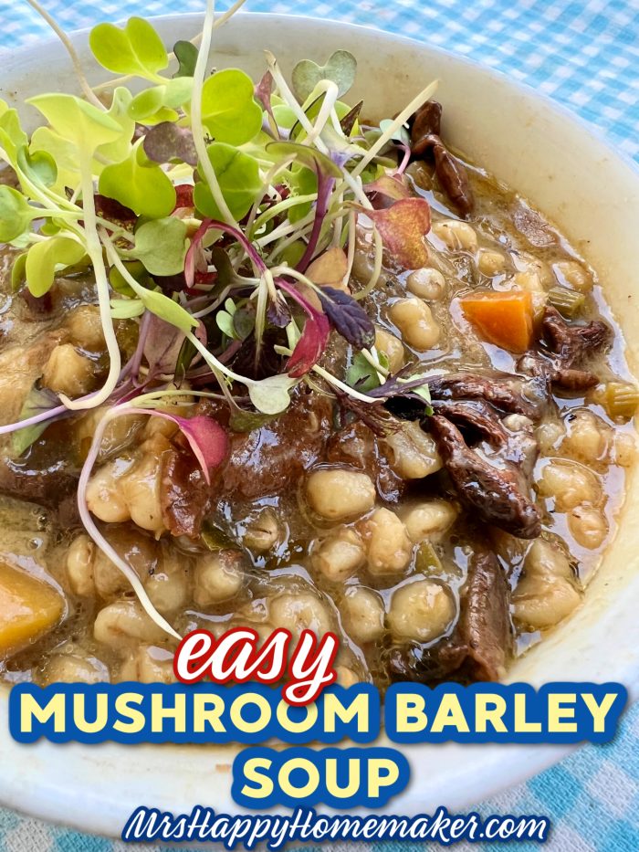 Easy mushroom barley soup in a white bowl, garnished with sprouts