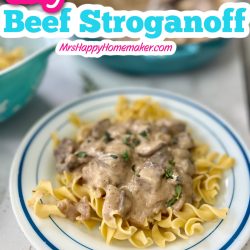 Easy beef stroganoff on a white plate that is rimmed with blue.