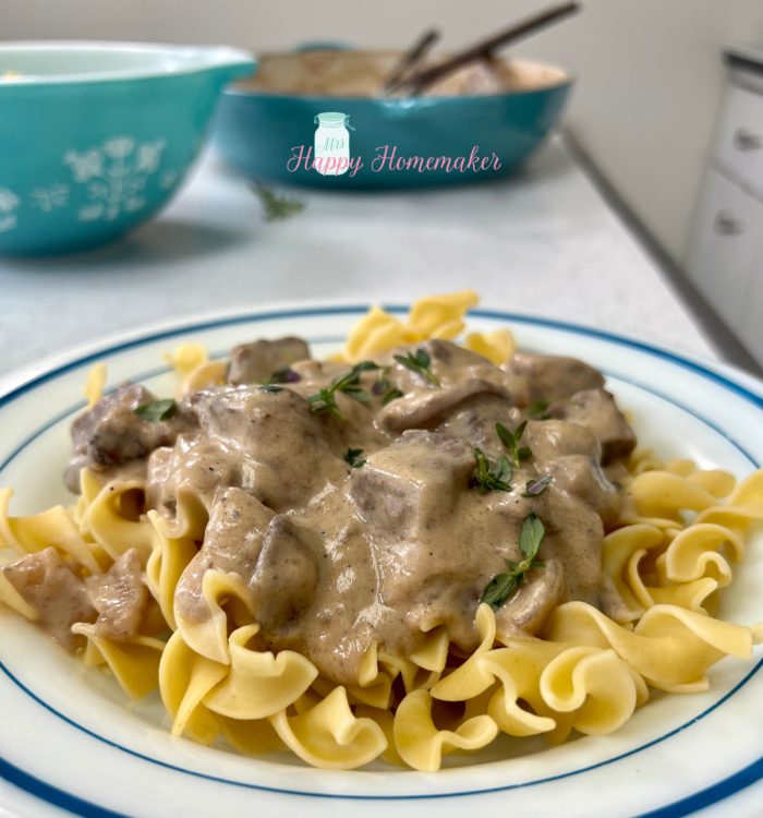 Beef stroganoff in a white dish with a blue rim on a countertop 