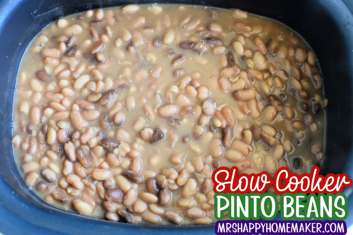 Slow cooker pinto beans in the crockpot