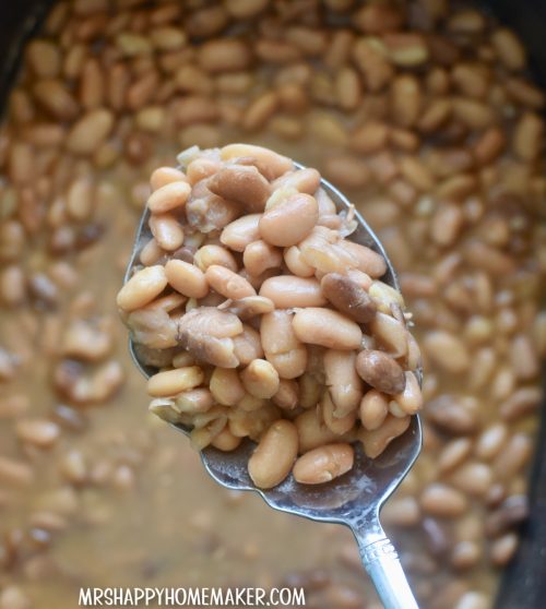 Pinto beans in a large spoon