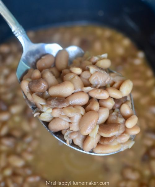 Pinto beans in a large spoon
