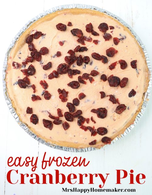 Frozen Cranberry Pie on white counter