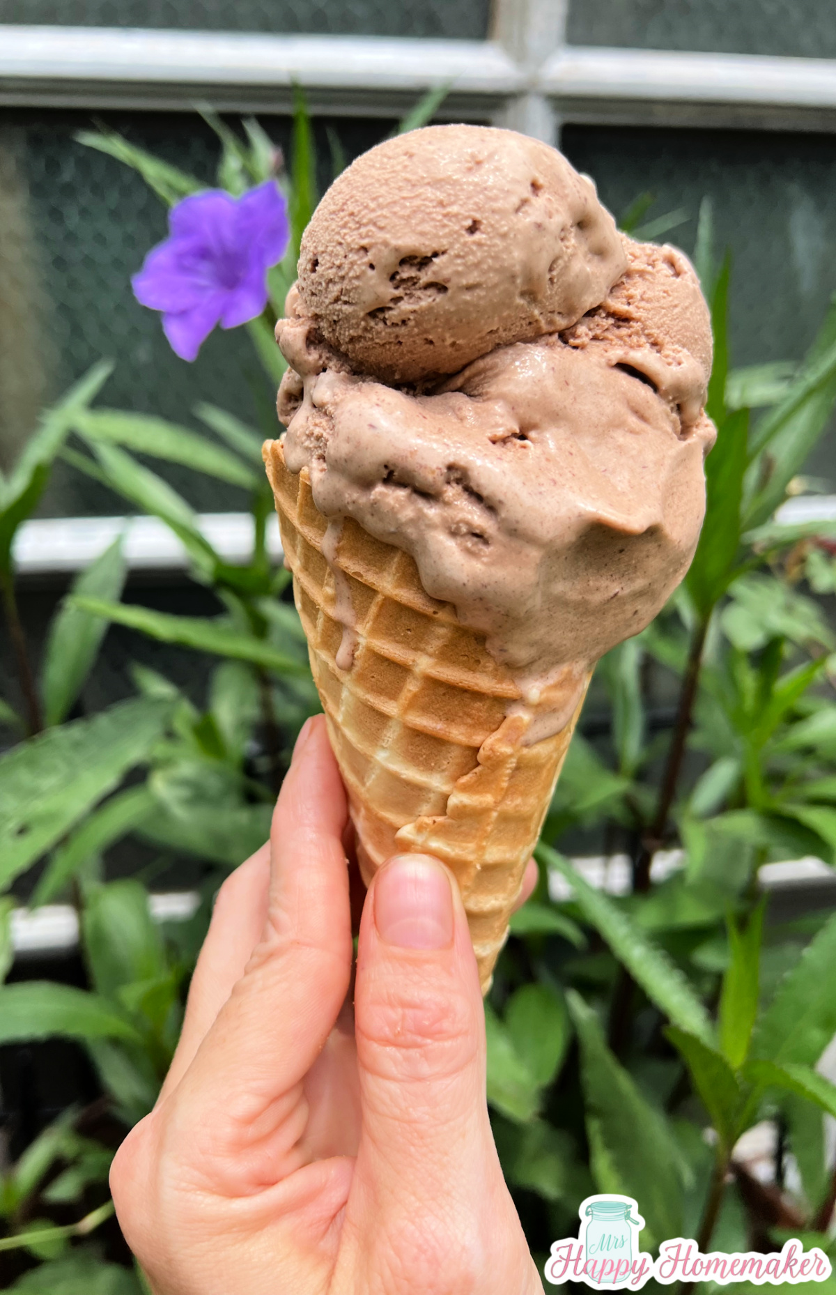 Homemade chocolate ice cream in a cone infront of a purple flower