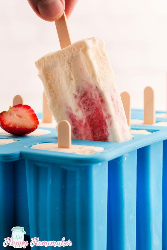 Strawberry Shortcake Ice Cream Bars